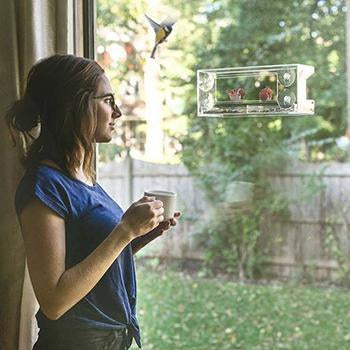 Hangout Window Bird Feeder - Clear Wild Bird Viewing