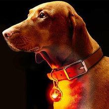 Load image into Gallery viewer, LED Clip-On Pet Safety Light