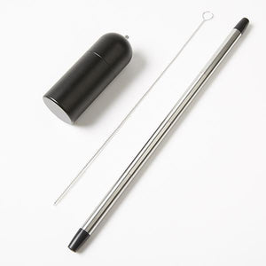 Easy Carry Stainless Steel Straw