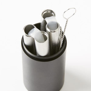 Easy Carry Stainless Steel Straw