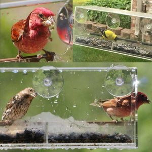 Hangout Window Bird Feeder - Clear Wild Bird Viewing