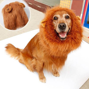 Lion Mane Doggie Wig