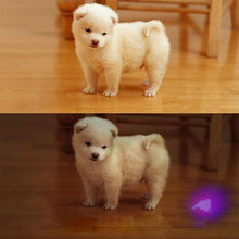 Load image into Gallery viewer, Handy Purple UV LED Torch